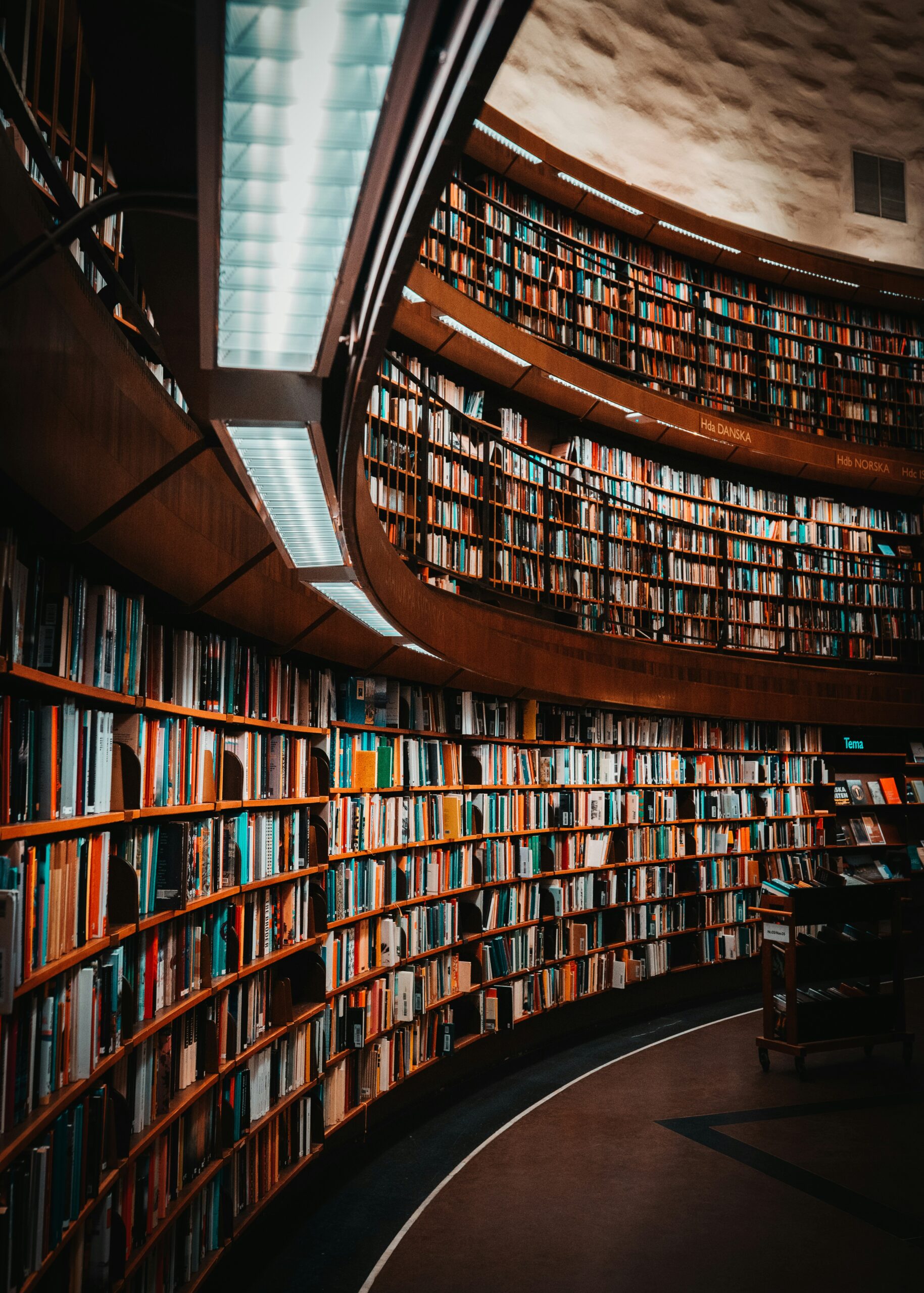 emil widlund xrbbxixawy0 unsplash